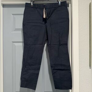 Banana Republic Jackson Fit Slacks - size 10 petit